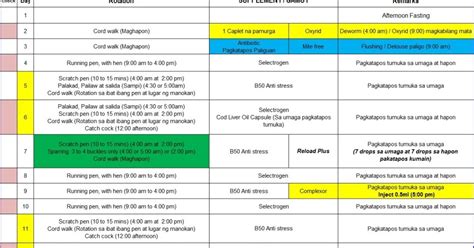 21 days conditioning method for gamefowl|Tried and Tested: The 21 Day Gamefowl Conditioners Program.